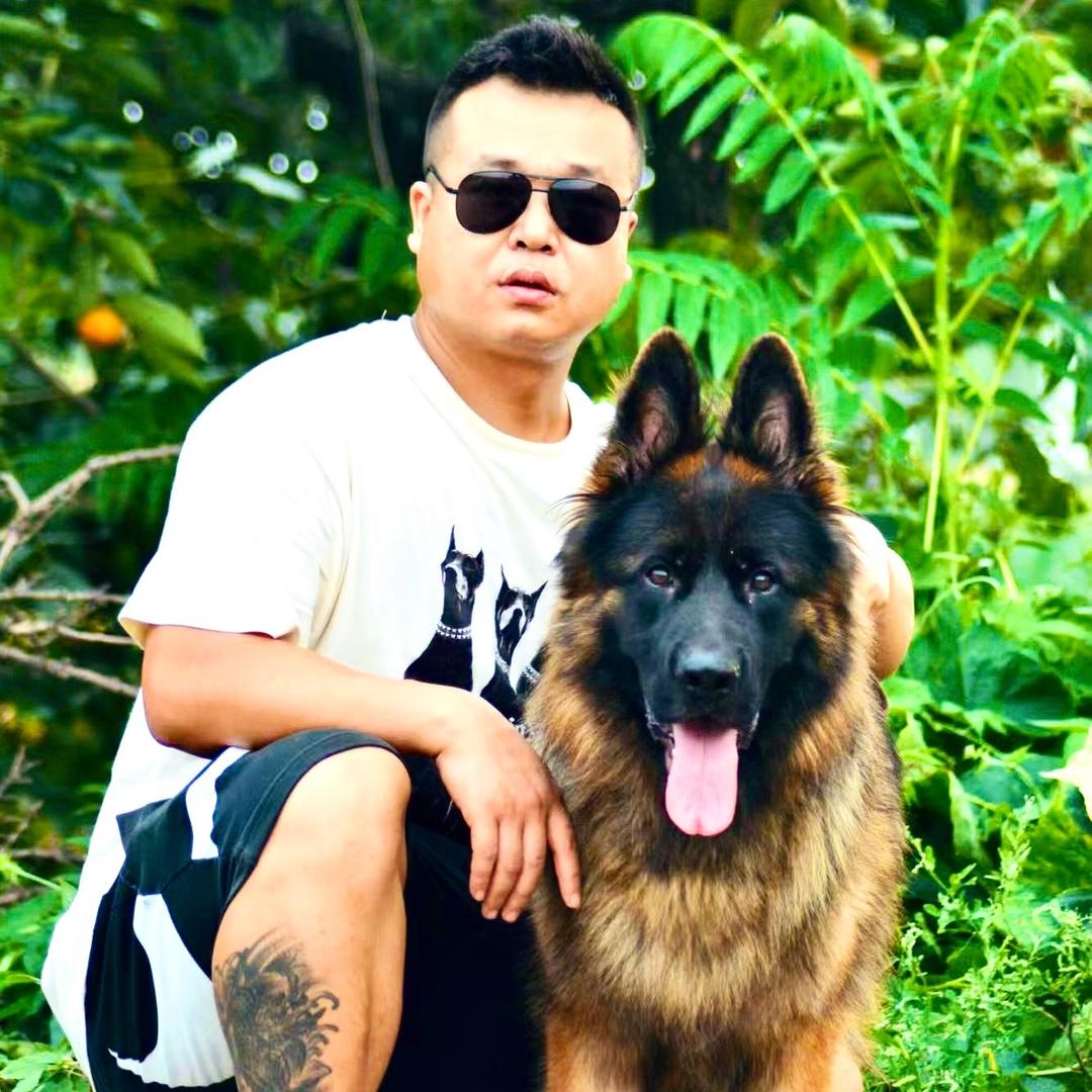 尊爵训犬/李教练