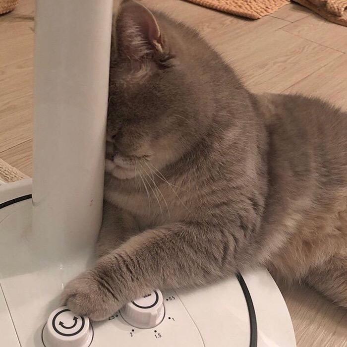 溺爱.