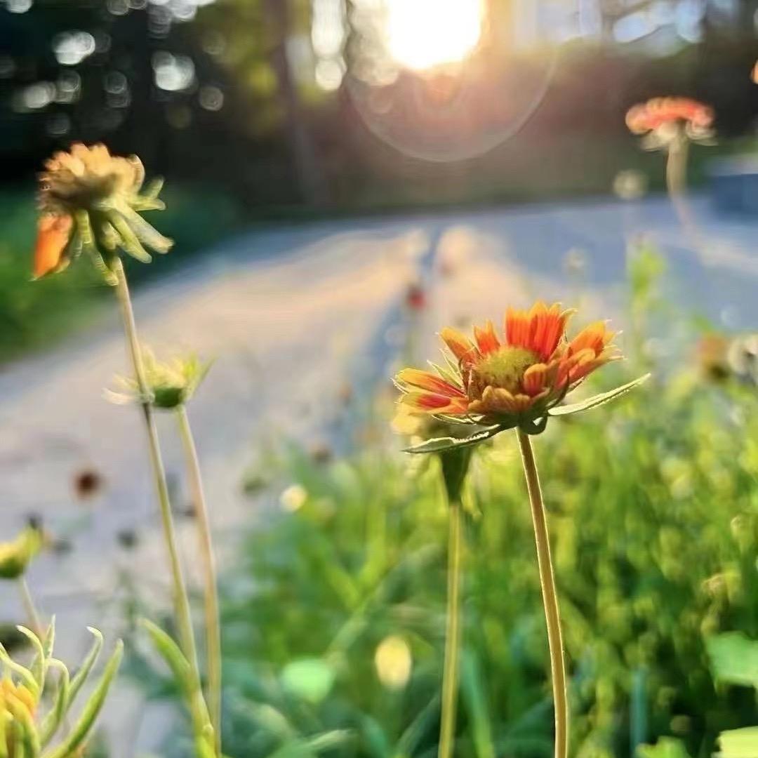 嫣然一笑🧚🏻🐉