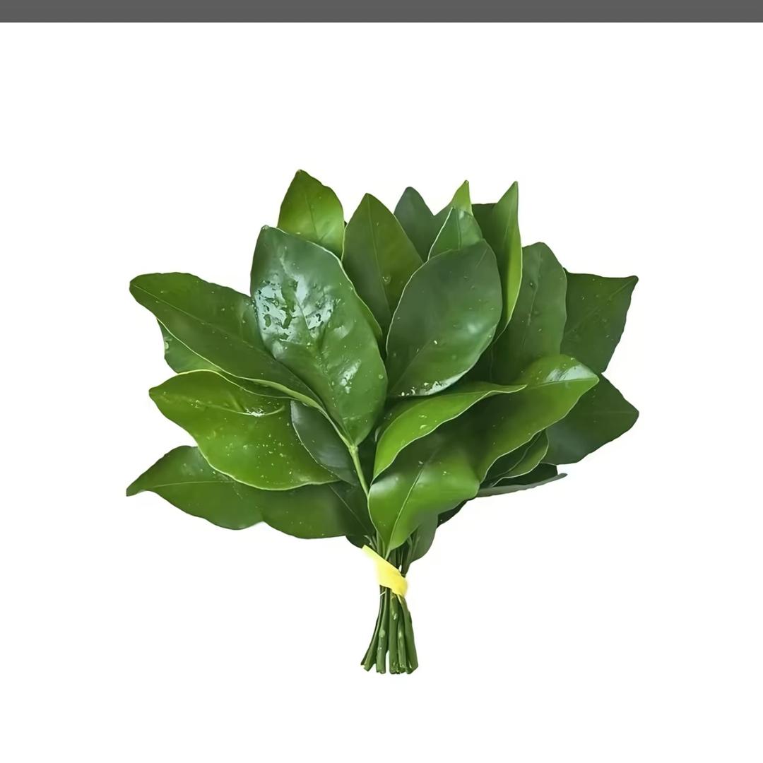 Cc