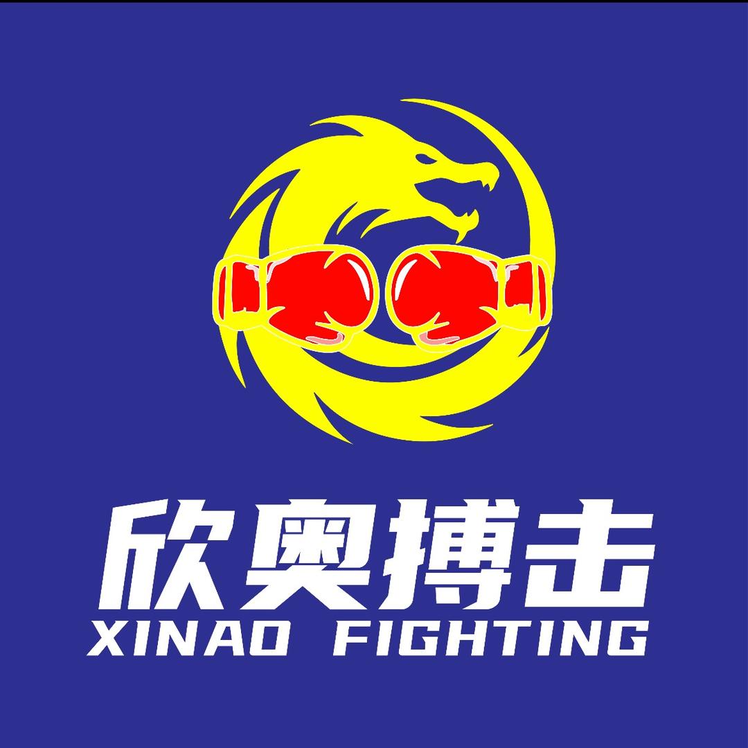 欣奥搏击