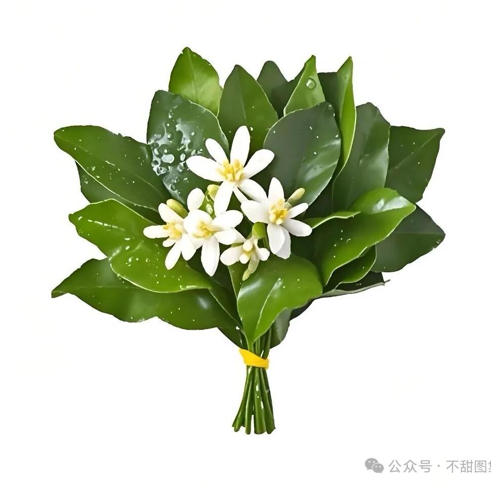 小蒋