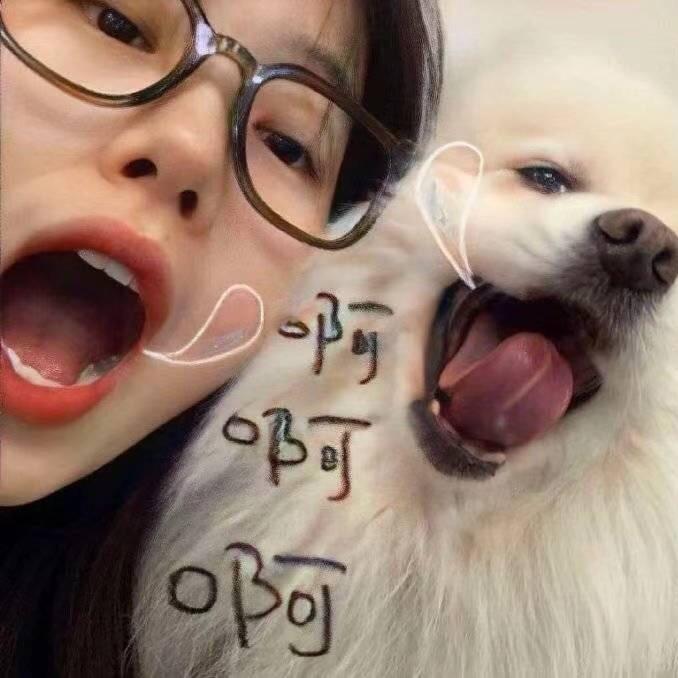 绵羊子🐑