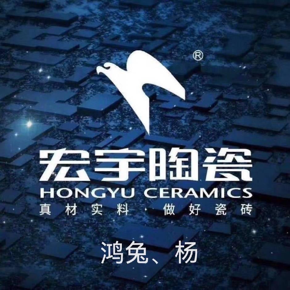 南阳宏宇瓷砖—小杨哥