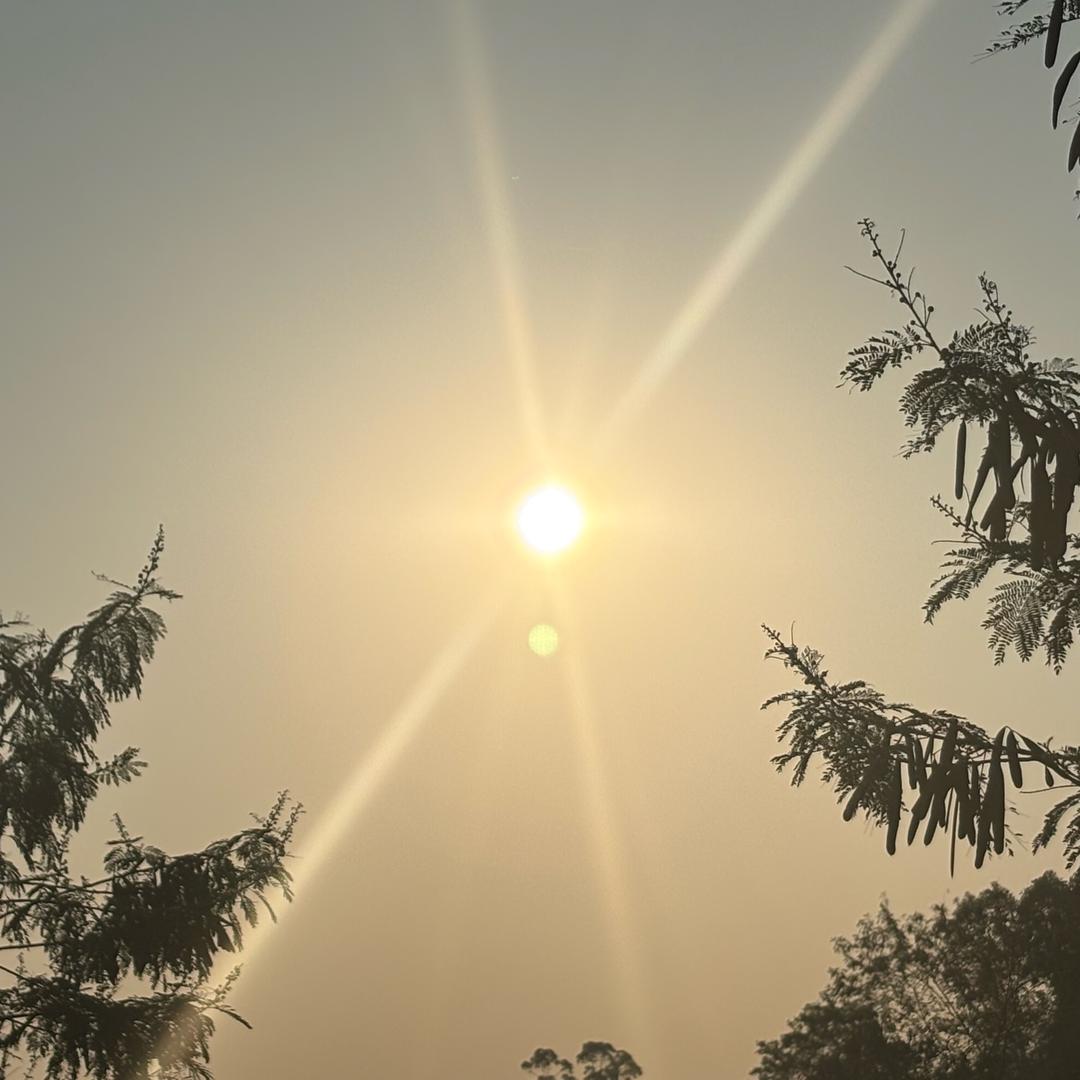 嘿💯陈小姐(❁´◡`❁)（不定时直播）