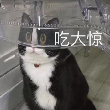 无忌无忌无力无力@抖音