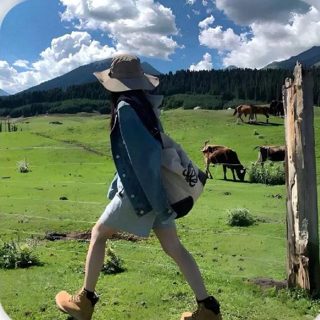 人生旷野🏞️