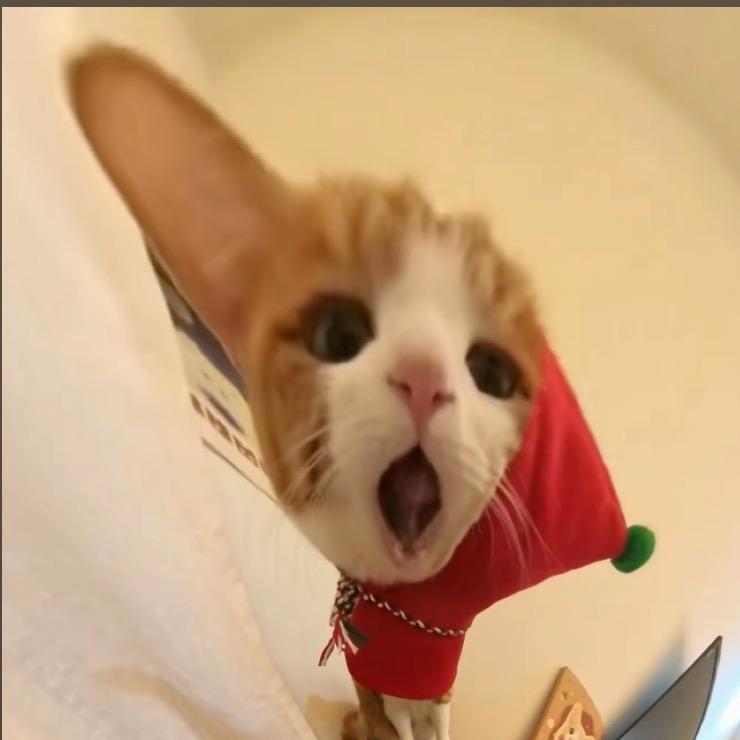 辣椒头