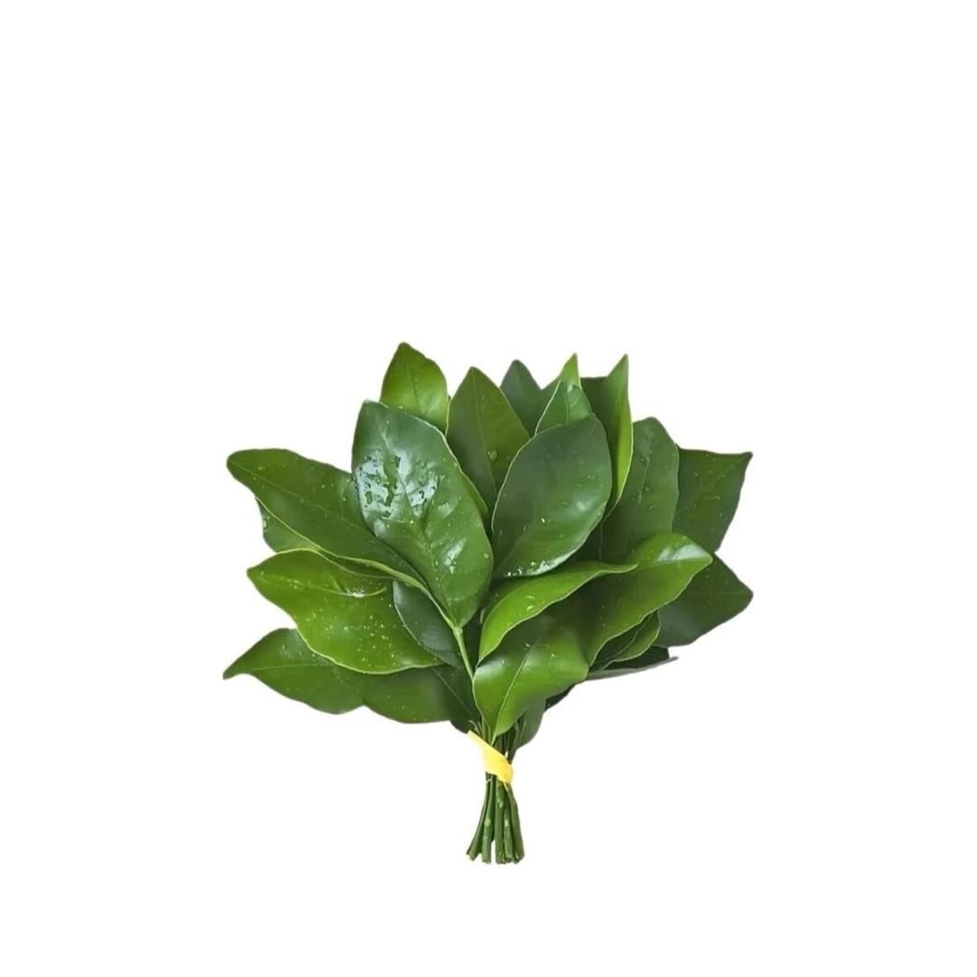 今天就早睡