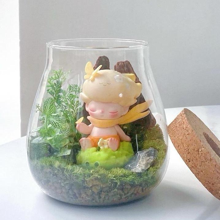 布布潮植