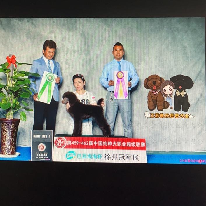 江苏侯氏犬舍