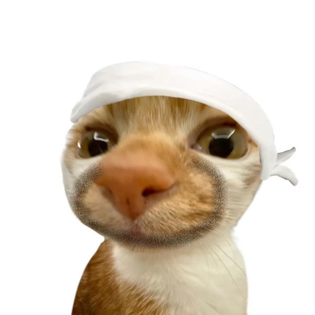 吗了个窝窝头