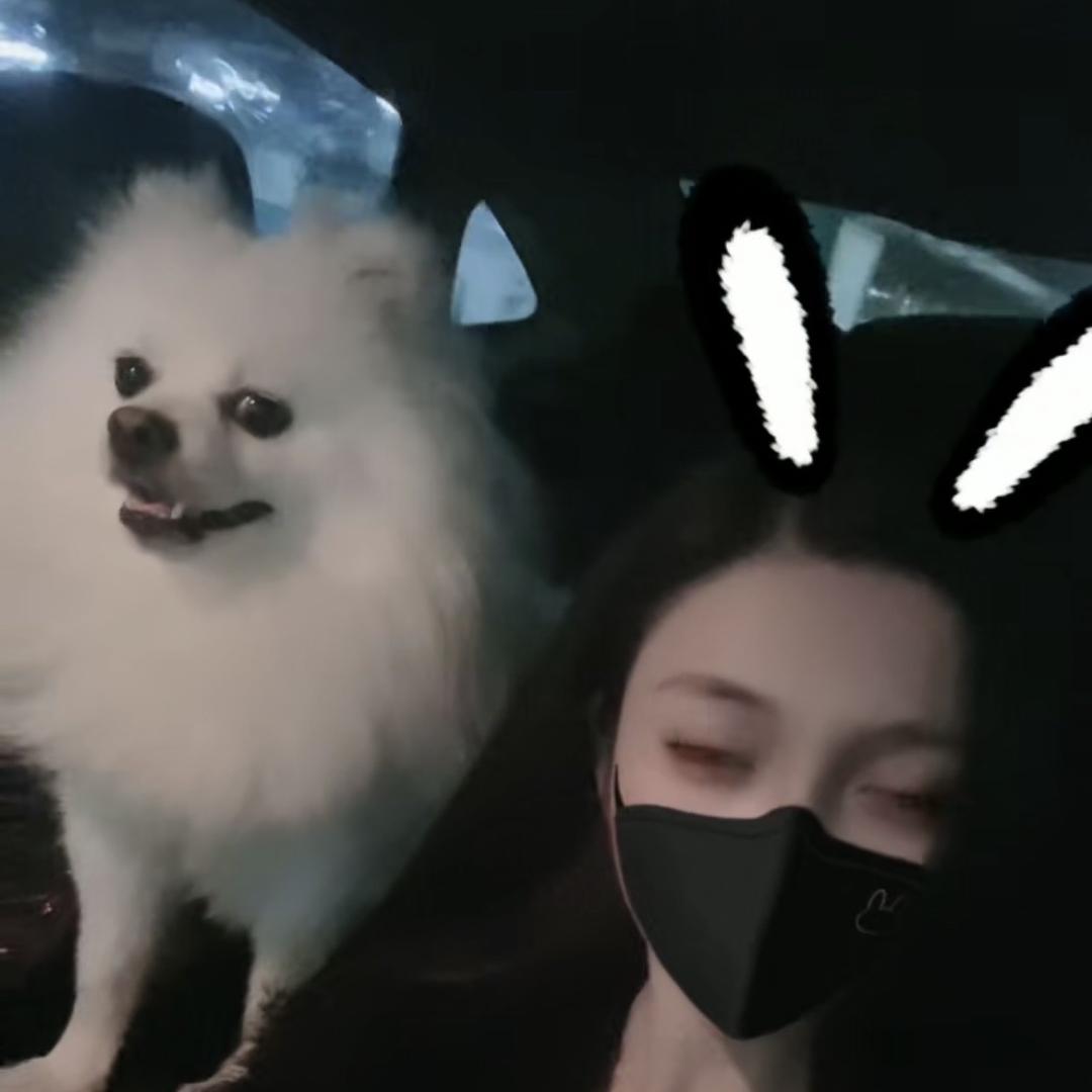 金金家的宠物实体店（洛阳直播账号）