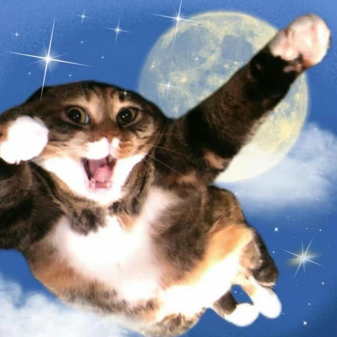 3星小欣₍^˶⦁༝⦁˶^₎◞ ̑̑
