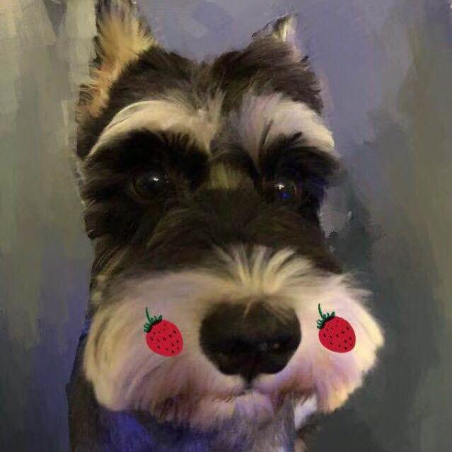 奥利奥宠物用品