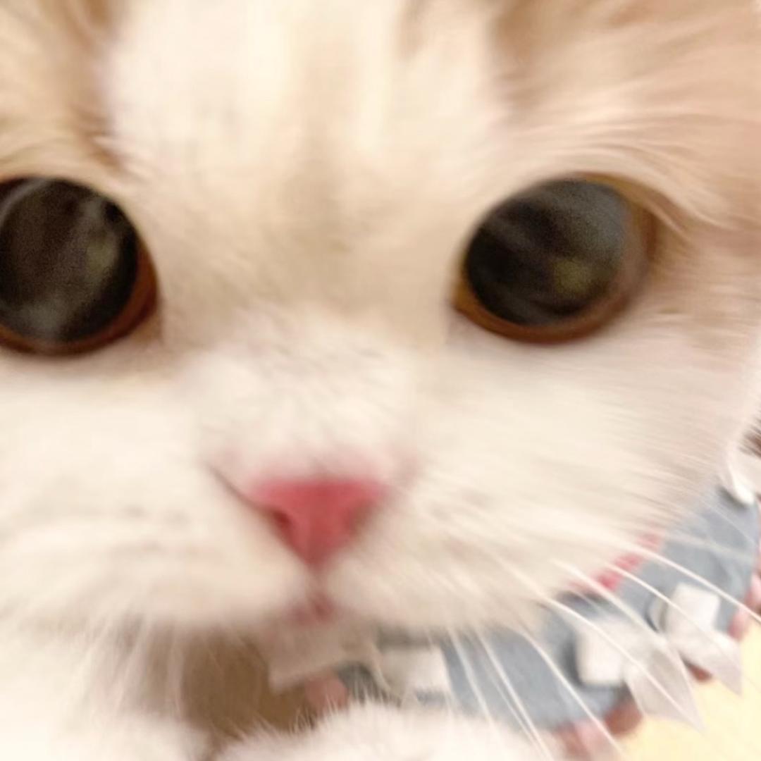 千金佑ovo