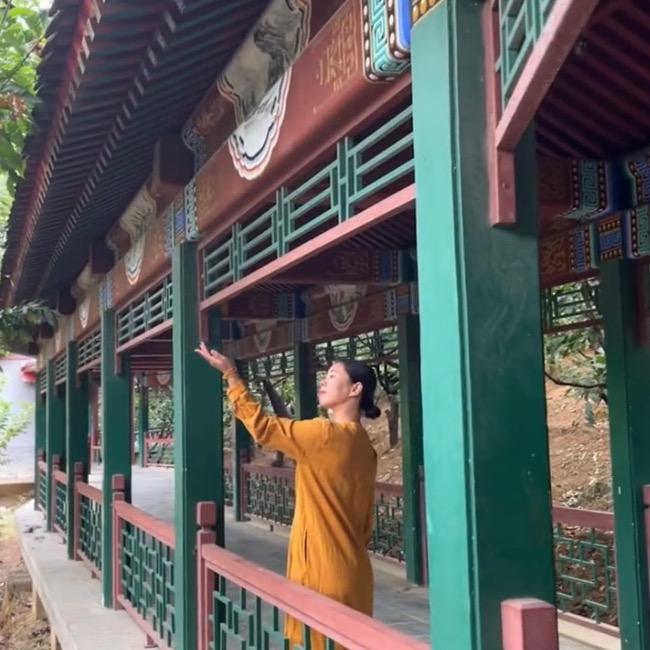 ☀️ 范范在成长🌙