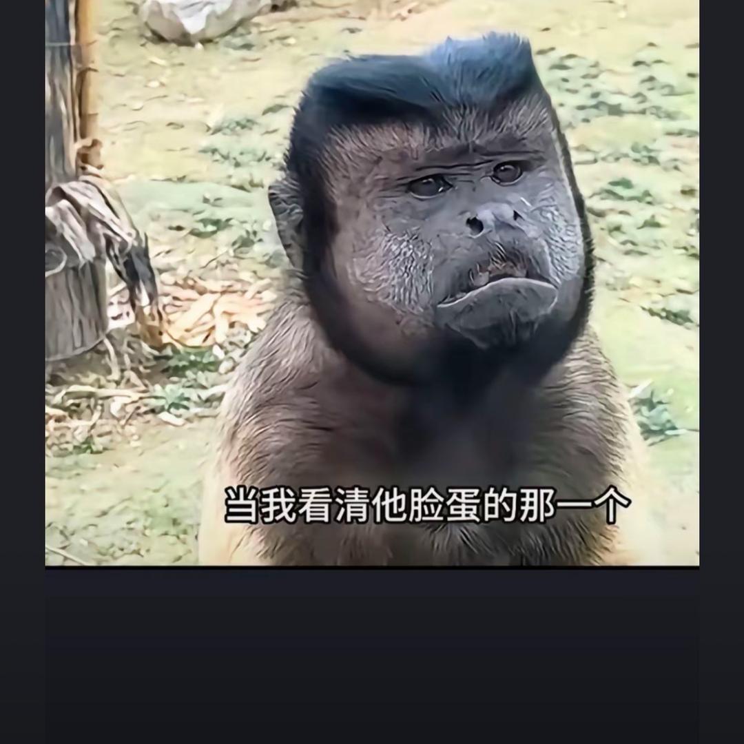 没有伞的孩子
