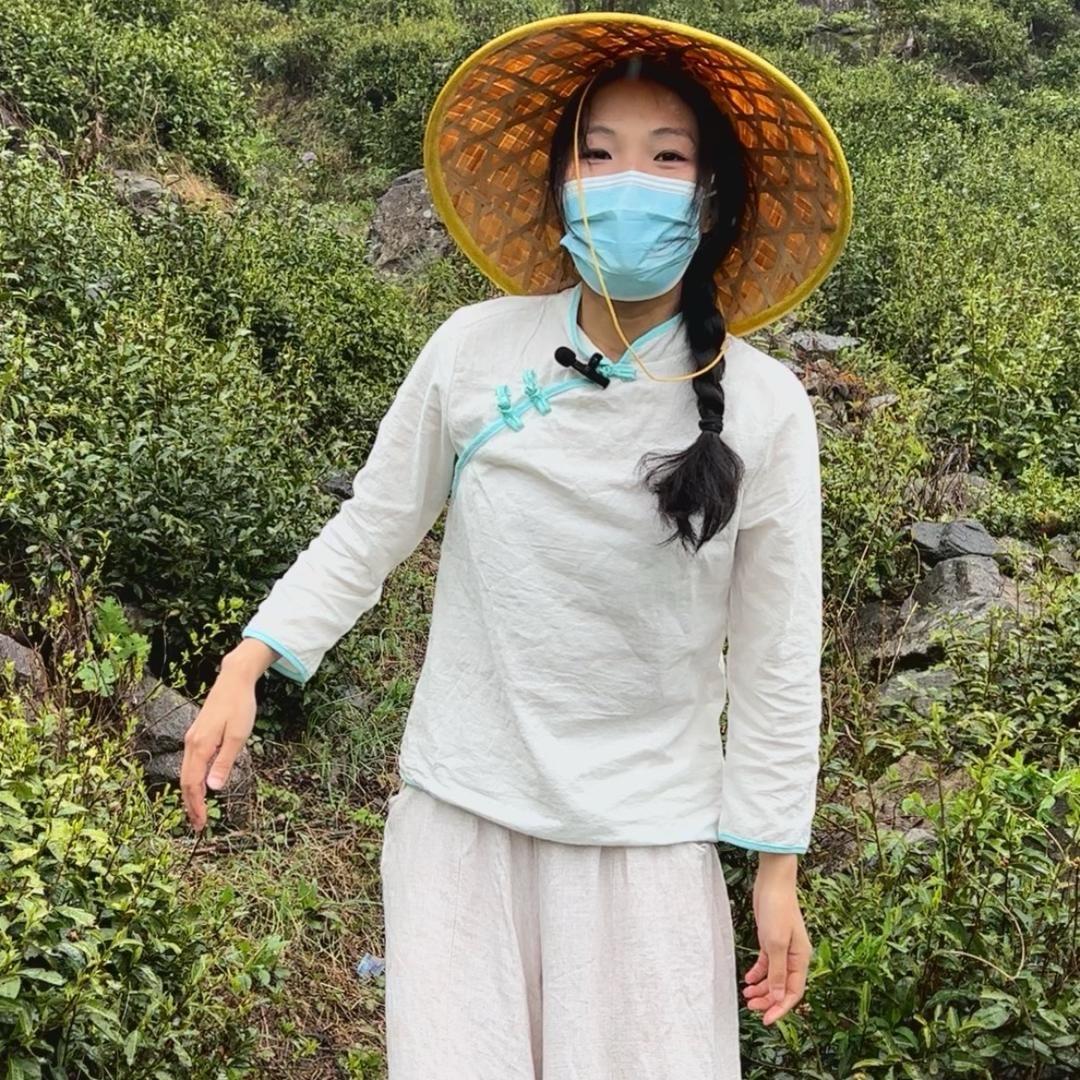 山水之间云雾茶