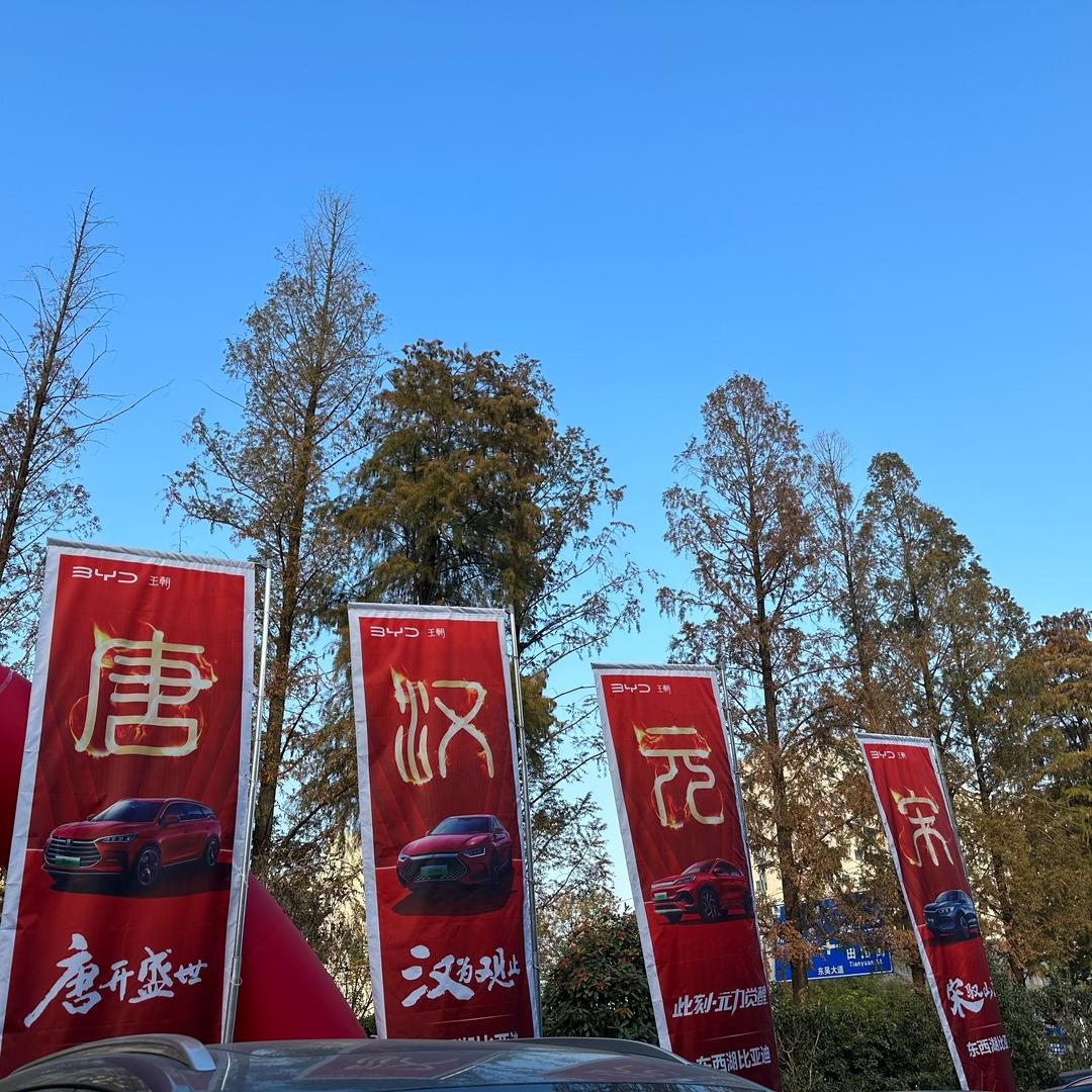 盛世王朝｜东西湖
