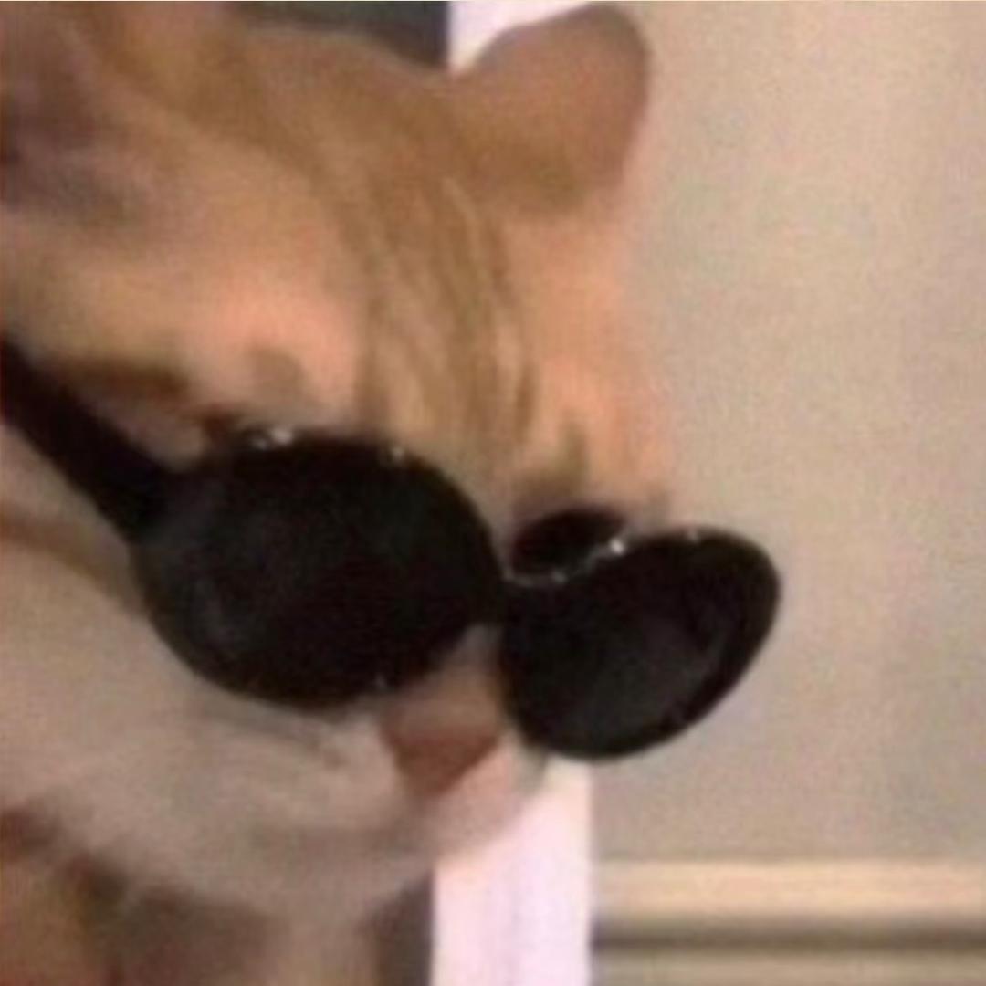 ./