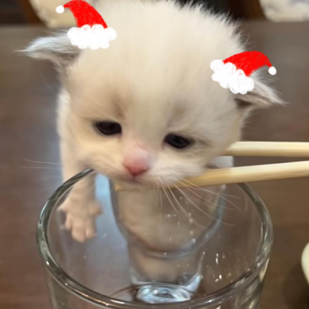 烤红薯