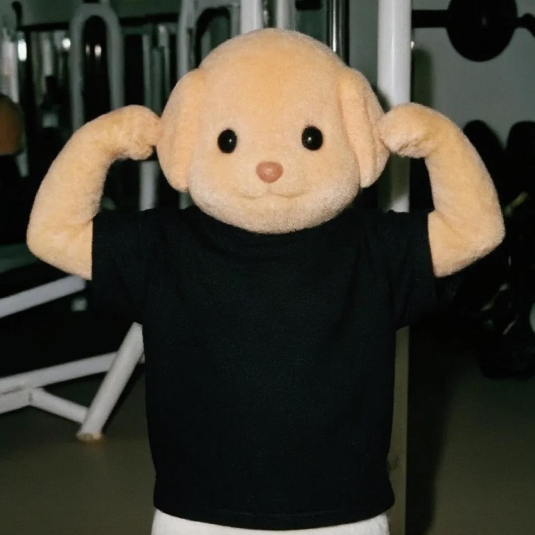 68300076557的头像