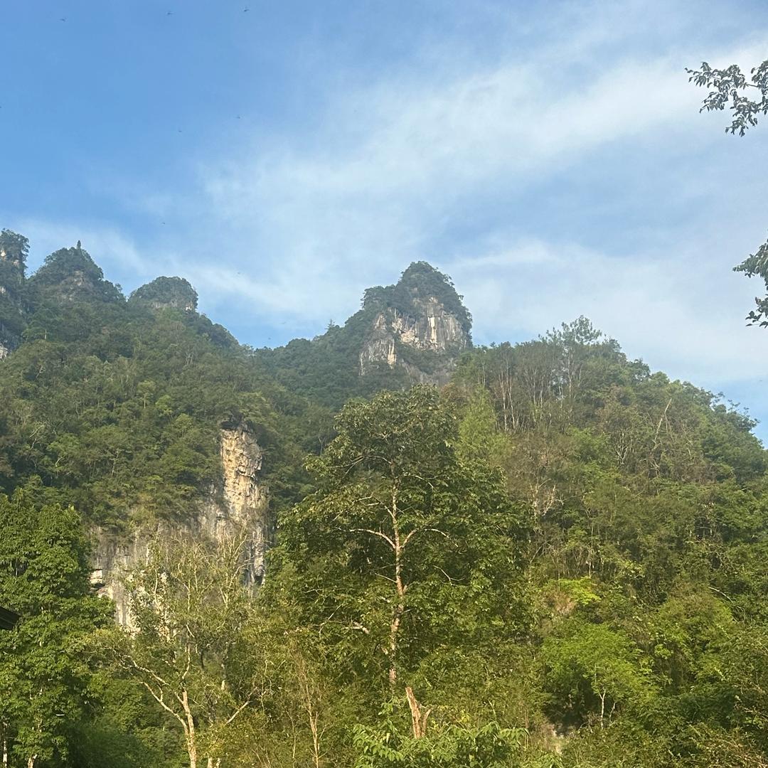 日落收藏家🌲ʷ⁹⁰⁶