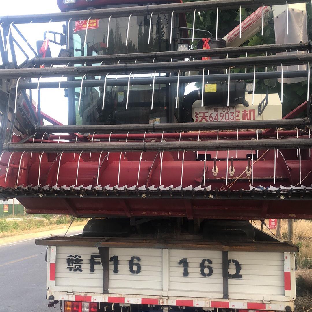 心之所向ʕ•̫͡•ʕ*̫͡*ʕ•͓͡•