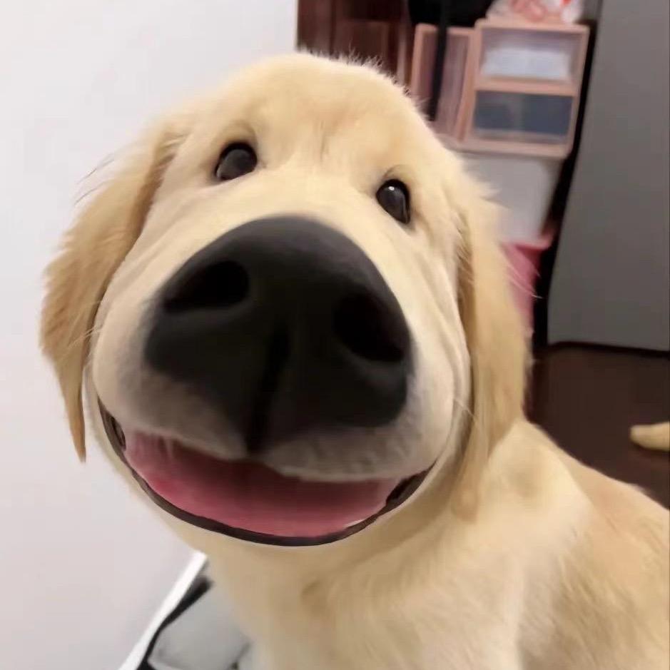 阿吉吉吉
