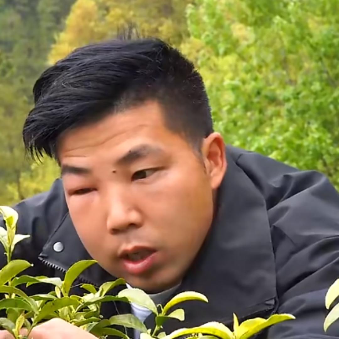 波仔蜂王上盖
