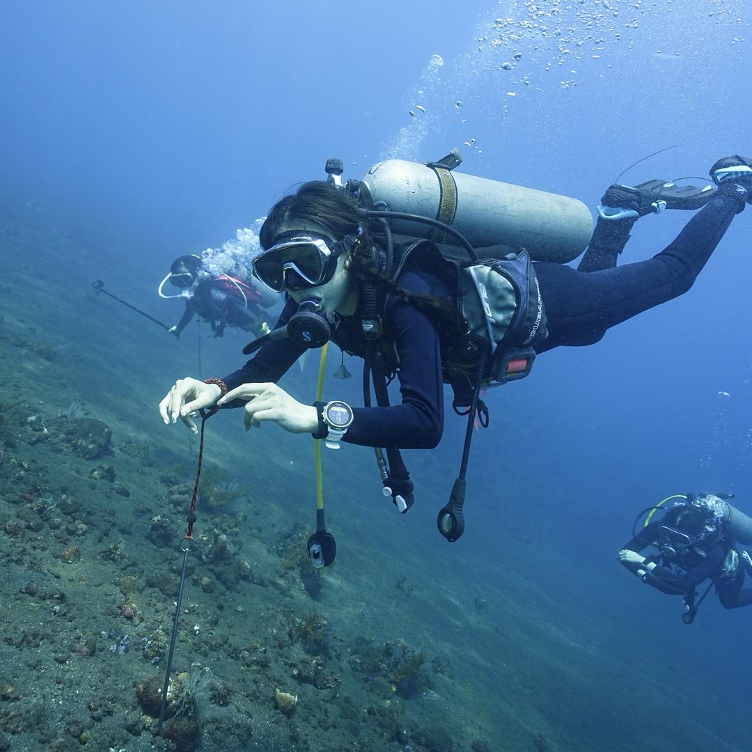 眠眠眠羊又失綿🐑ིྀ