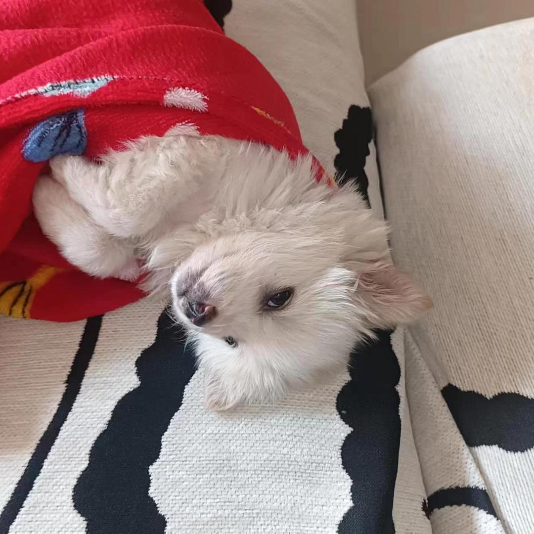 我要发大财