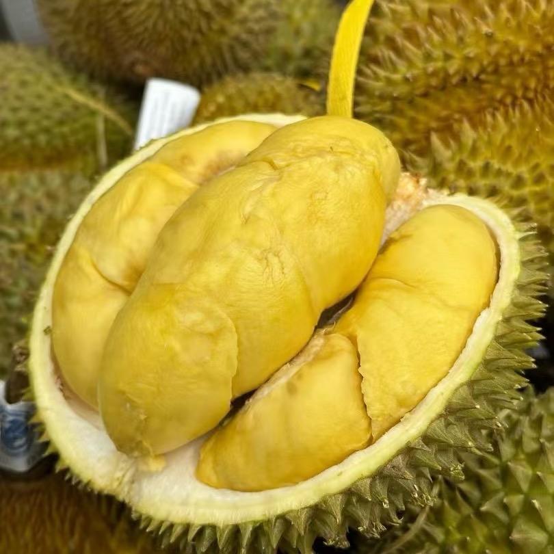 @榴莲忘返🍈