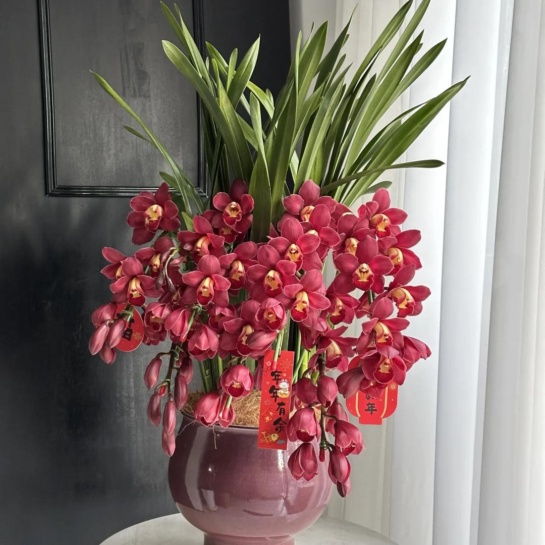 卫辞礼果树苗木专卖店