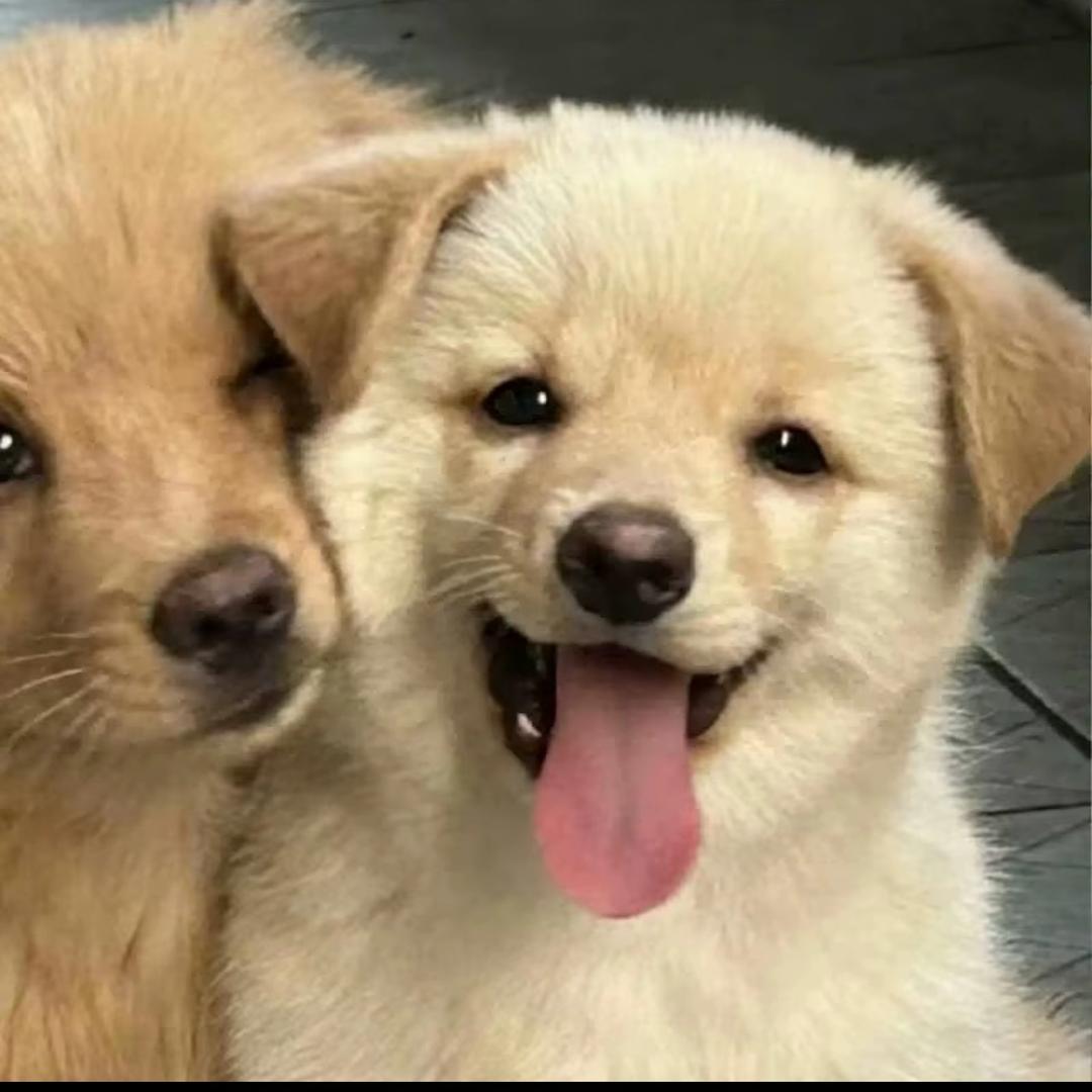 蛋蛋蛋蛋蛋蛋儿