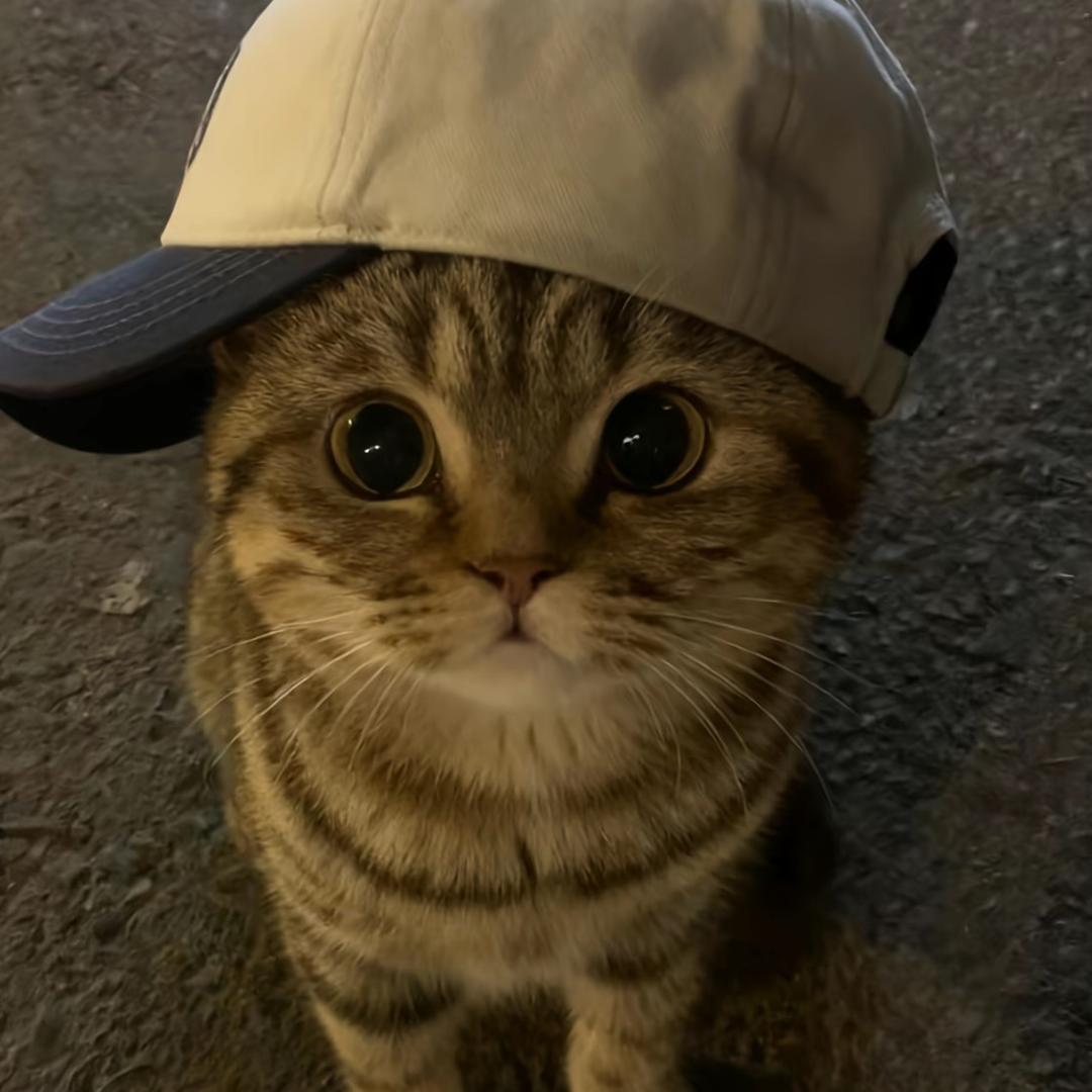 揪揪