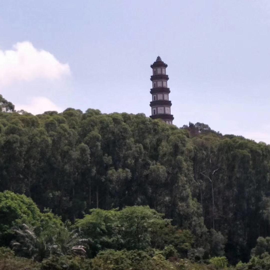 林景妹