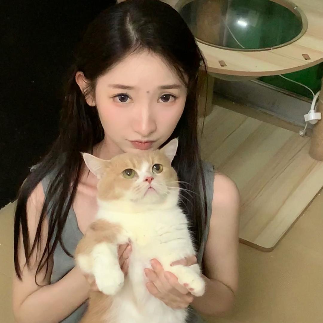 糕冷.
