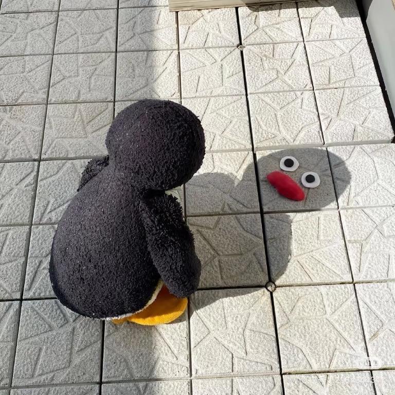 小小的太阳🌻