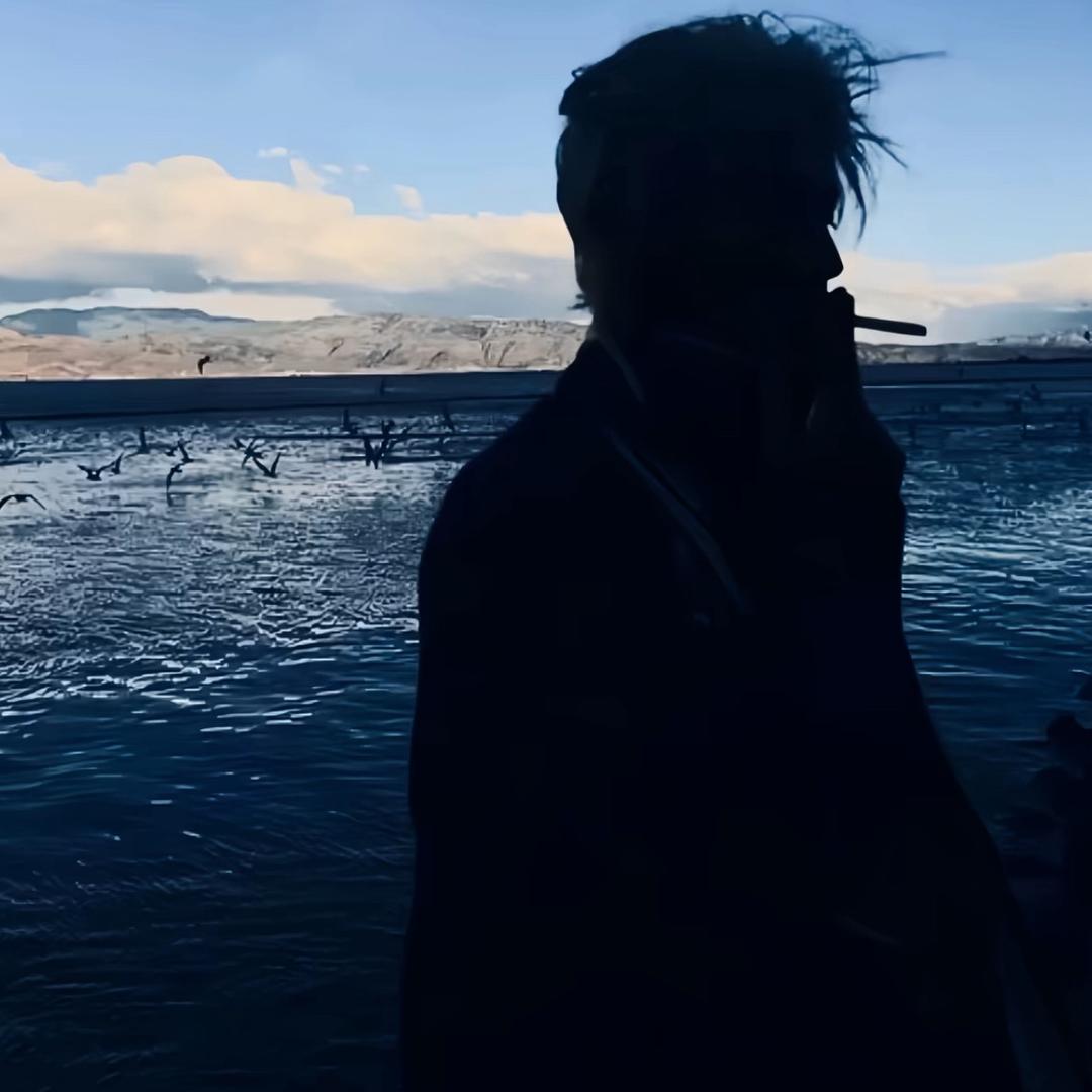 陪