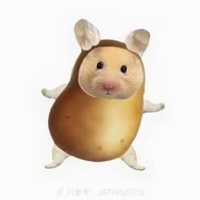 棠棠