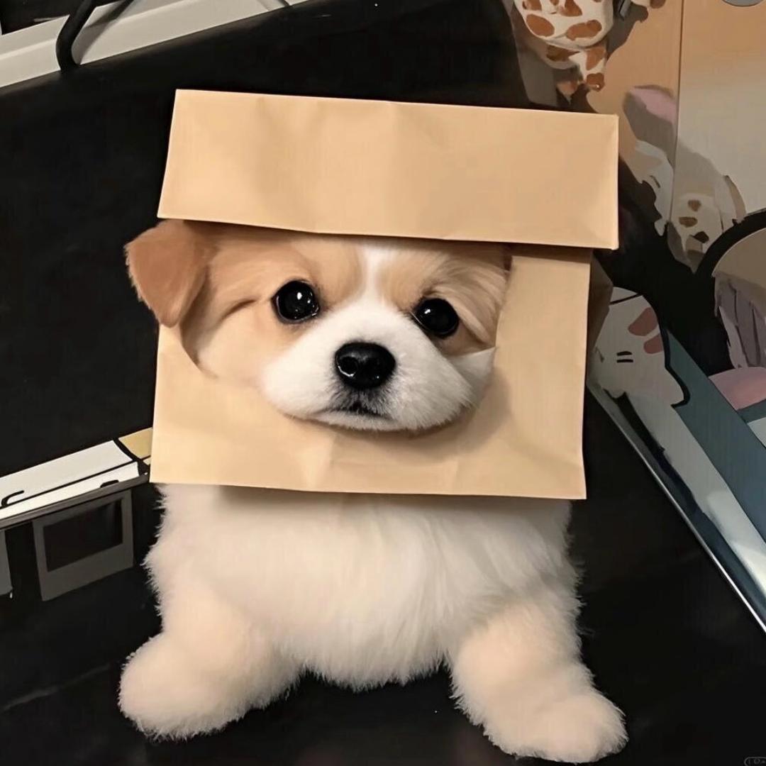 尽管叫我无名之辈