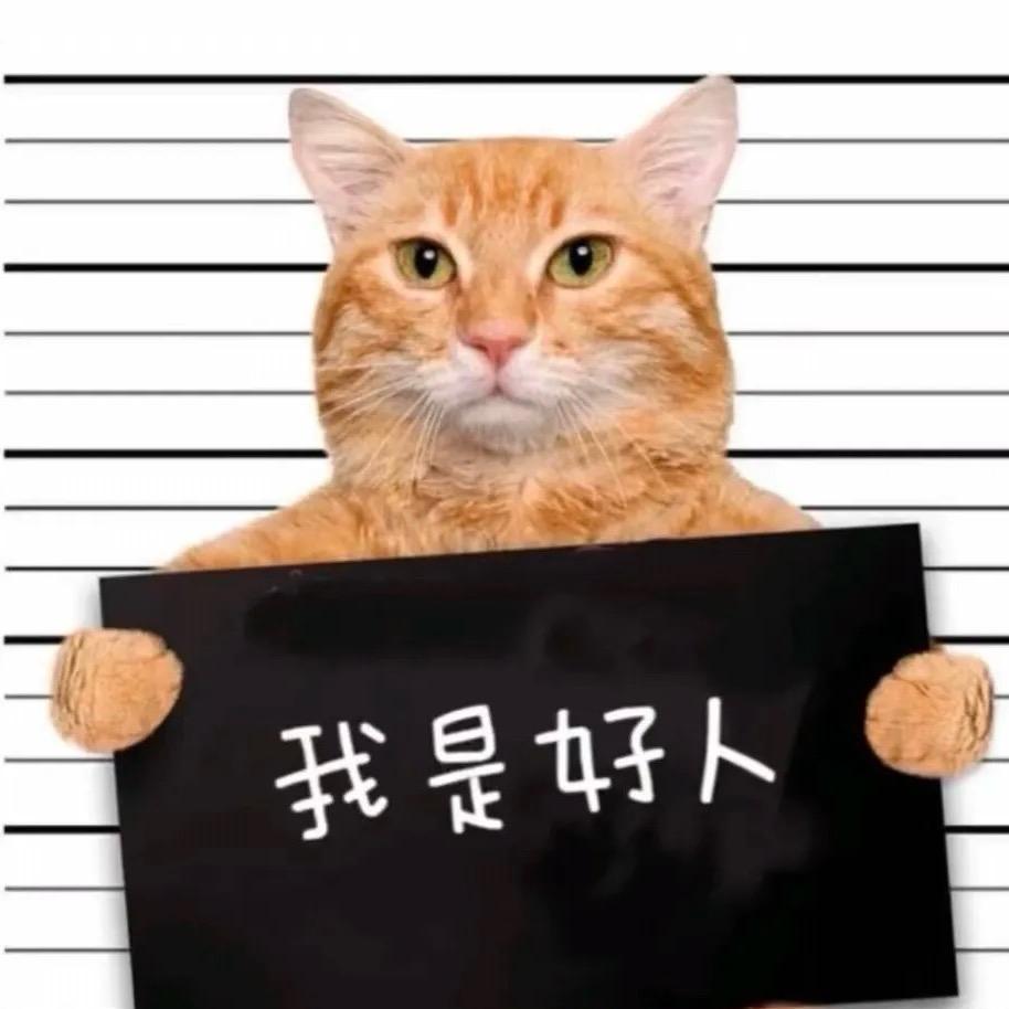 老君山一日游推荐官
