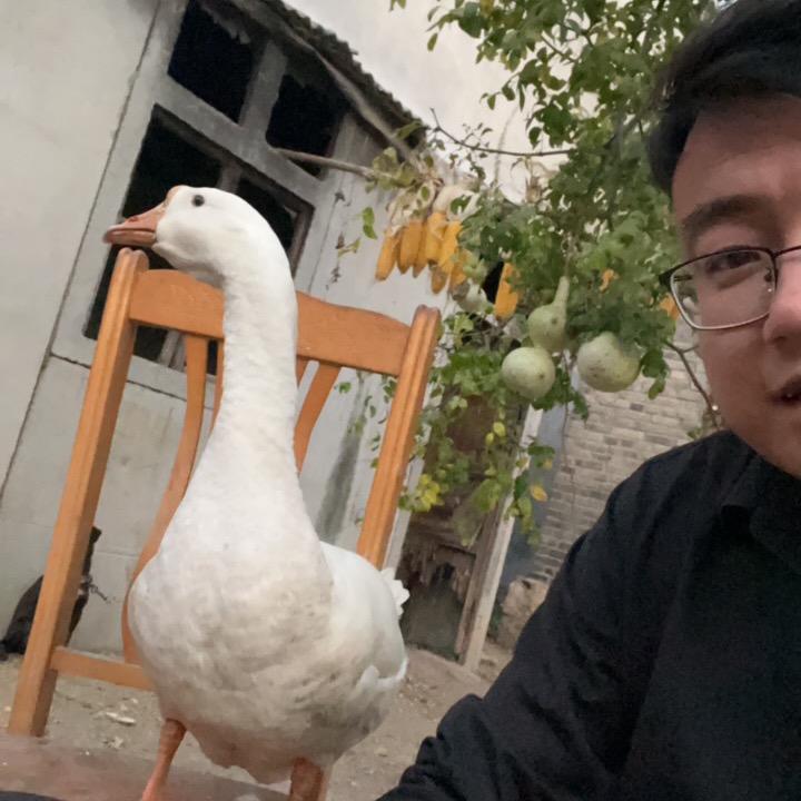 瞎胡测