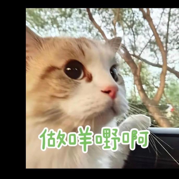 啦啦啦星星 ҈҉҈҉҈҉҈҉҈҉҈҉✰ଳ