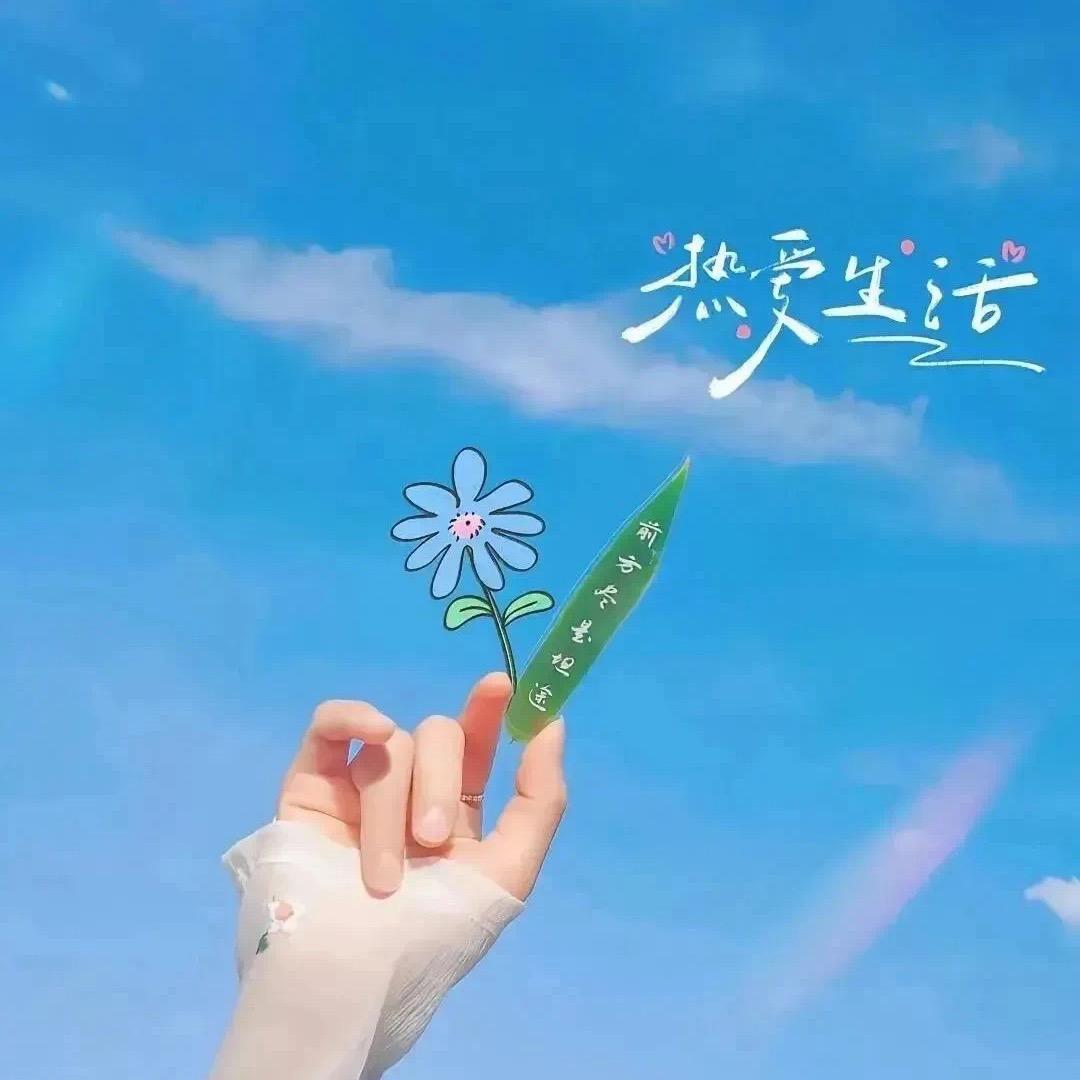 鹊踏枝☁️
