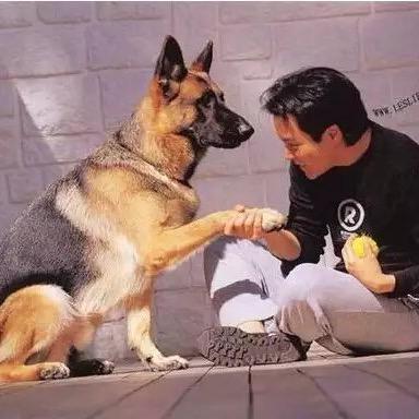 猛踹瘸子那条好腿、