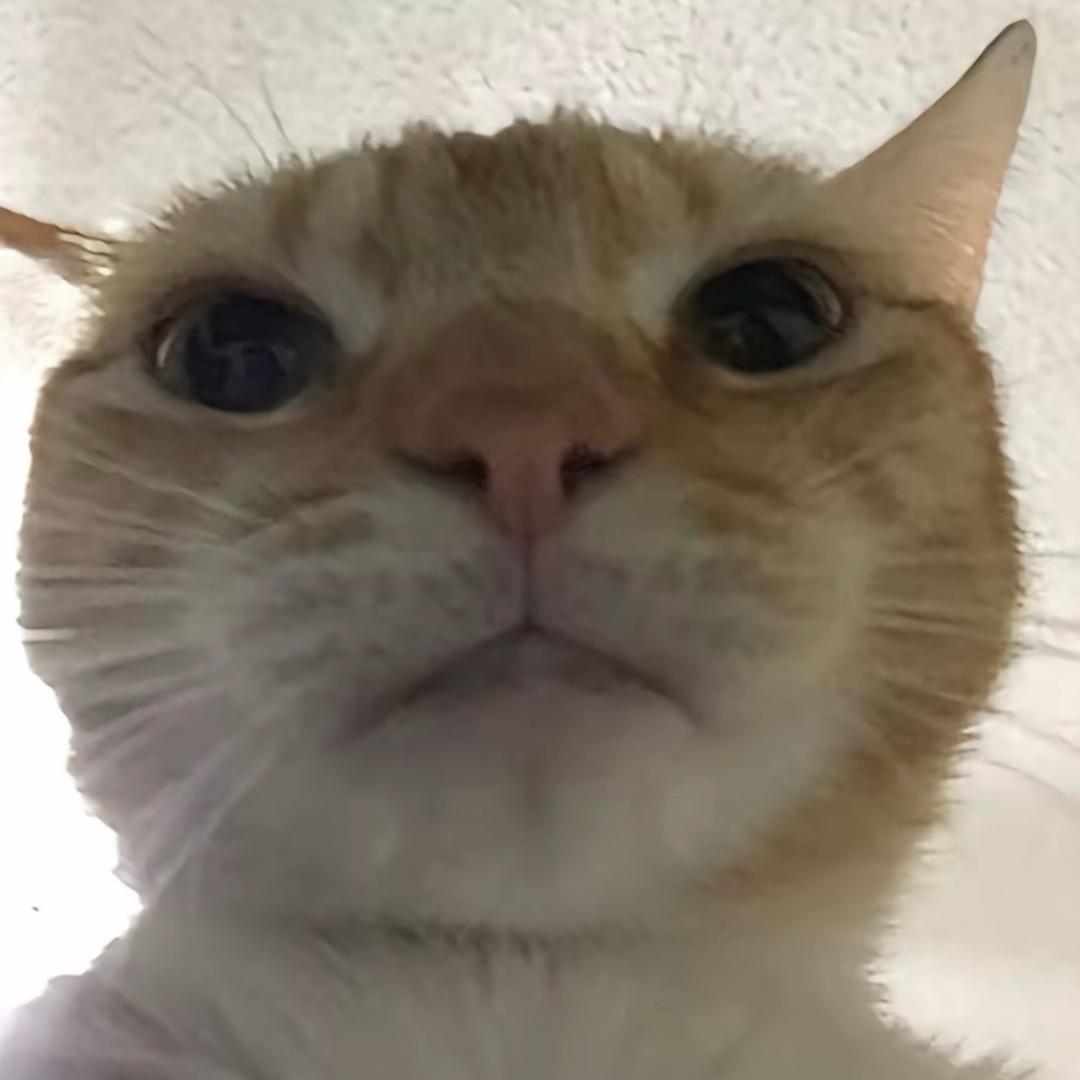 洋