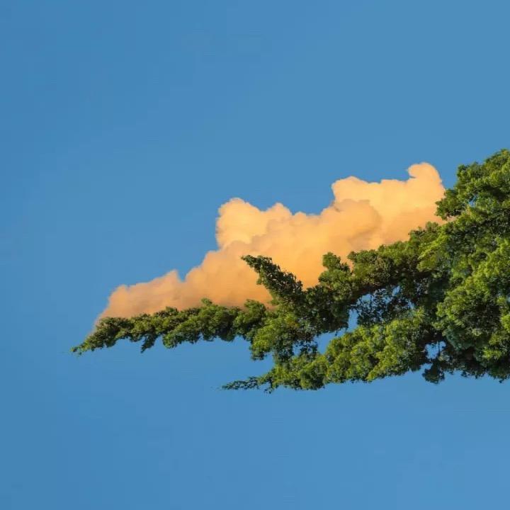 🌈盈昃